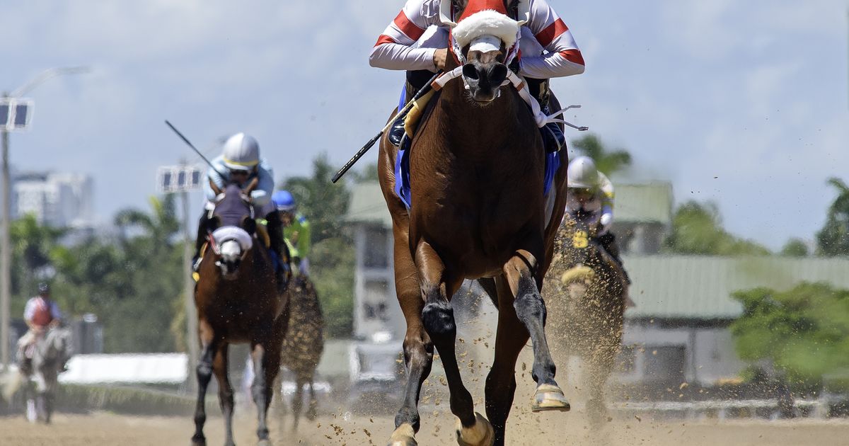 Fittingly, Sum of Success wins In Summation in dominant fashion