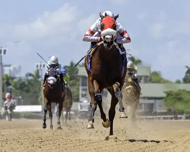 Fittingly, Sum of Success wins In Summation in dominant fashion