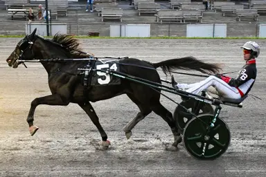 Vernon Downs: Grand Circuit trotters expected to shine in Big Apple