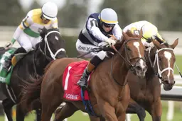 Raiding Party surges by Dixie Law in Ontario Damsel
