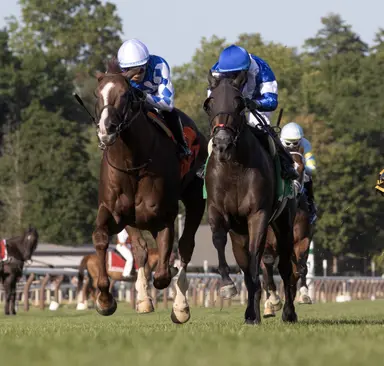 Handal believes short rest won't be an issue for Chummers