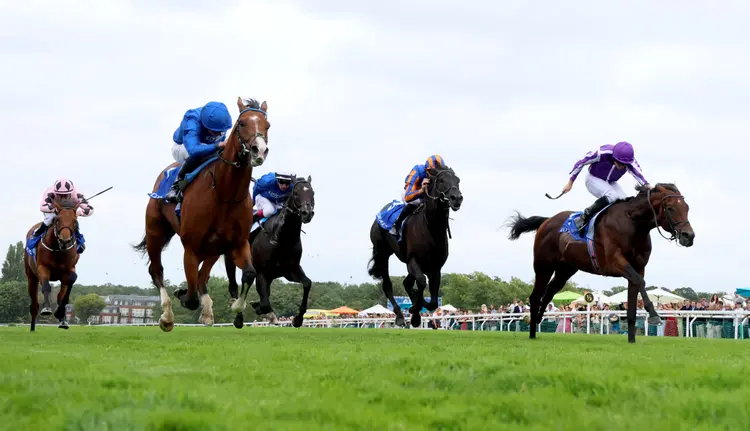 Delacroix (IRE) focusonracing.com .jpg