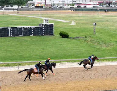 Wet Maryland weather alters Fasig-Tipton's 2-year-olds in training sale