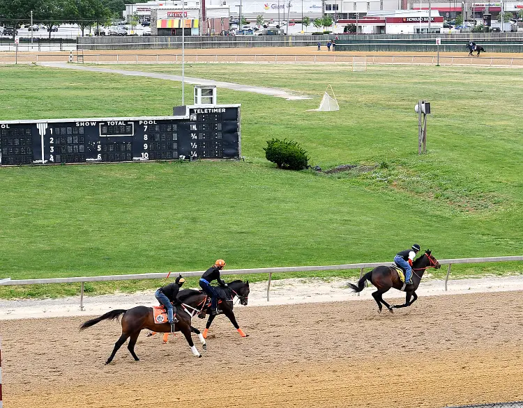 TIM.Timonium scenic01.5-27-21.MJC_.jpg