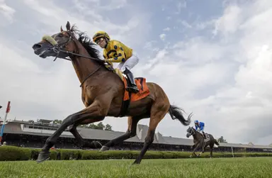 Grade 1 winner Far Bridge sidelined until fall