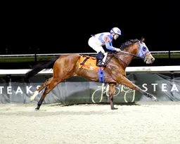 Joe Shiesty dominates Big Daddy Stakes