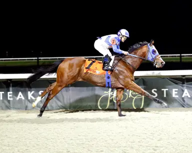 Joe Shiesty dominates Big Daddy Stakes