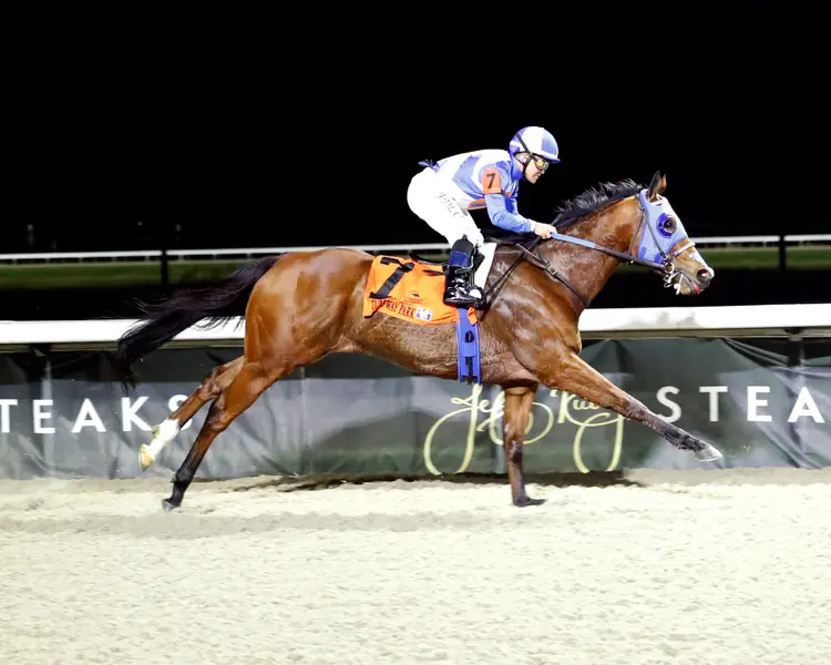 JOE SHIESTY - The Big Daddy 5th Running - 03-07-26 - R08 - Turfway Park - Finish 01.jpg