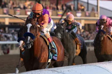 Authentic leads strong group of freshman sires