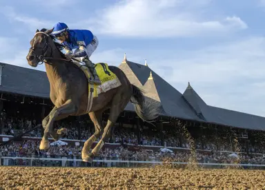 Sovereignty propels Into Mischief to seventh straight leading sire title