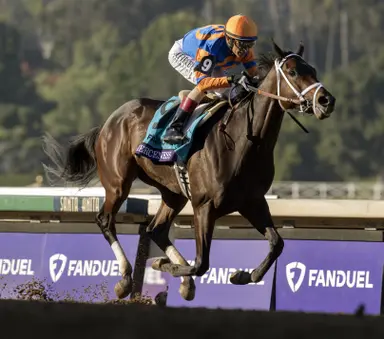 Triple Crown early nominations close with 346 eligible, down from 369 in 2023