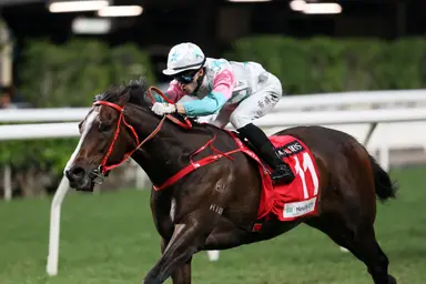 Danny Shum will press for a fourth DBS x Manulife Million Challenge triumph