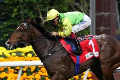 Tomodachi Kokoroe rises for Happy Valley challenge
