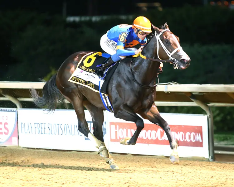 MYSTIC LAKE - Charles Town Oaks G2 - 16th Running - 08-23-24 - R10 - Charles Town - Finish 02 - Adianez Acosta.jpg