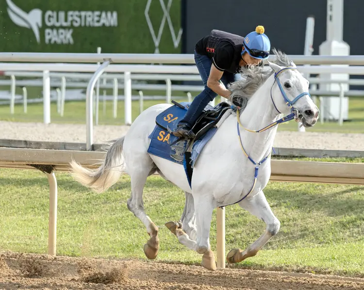 White Abarrio works at GP March 26 2026