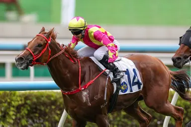 Manfred Man hits 700 winners as Luke Ferraris stars with treble