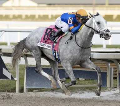 White Abarrio to stand at Gainesway next year