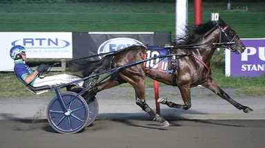 Vernon: Stoebe excited to start Diabolic Hill in Sunday’s Zweig Memorial