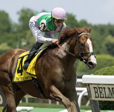 Elite Power to retire to Juddmonte after Breeders' Cup