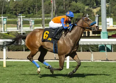 Skinny tickets could take down pick six with $45,603 carryover