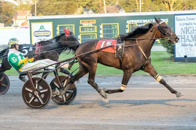Harness: Ducharme stable warming up in Florida for a big season