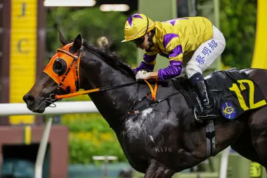 Matthew Chadwick edges closer in Tony Cruz Award standings