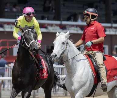 After battling open company, Sculcos Folly settles in with New York-bred types