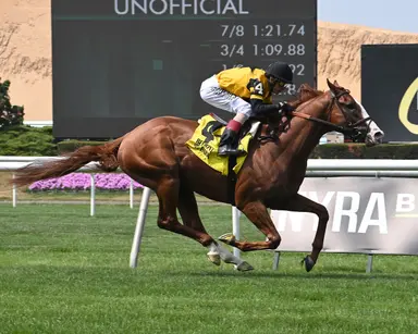 Breakout Beyers: Northern Invader puts his best foot forward in turf bow