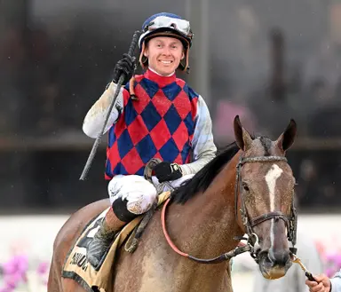 Belmont Stakes 2026: Davis regains momentum after bad spill; Chip Honcho, Potente to skip race