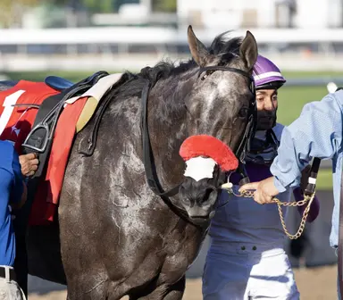 Kentucky Derby pedigree profile: Pavlovian