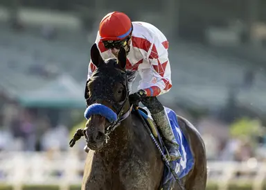 Unbeaten Grade 1 winner Cavalieri retired