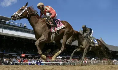 Antiquarian does Preservationist proud