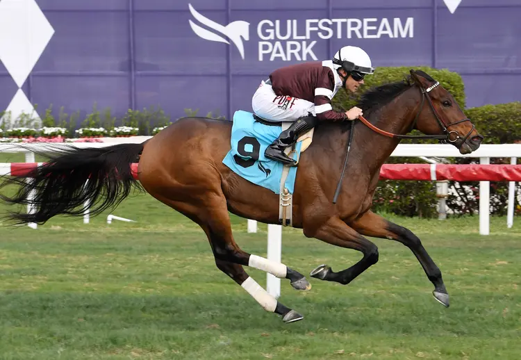 White Frost wins at GP Jan 26 2023