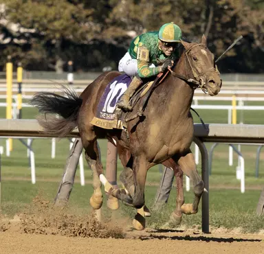 McKinzie climbs freshman sire ranks with big weekend