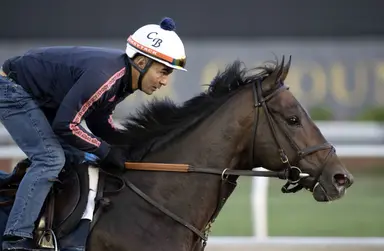 2024 Preakness Stakes: Tuscan Gold scratches out of Peter Pan to join field