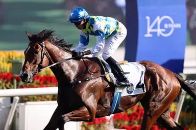 Galaxy Patch underlines rich talent with G2 Sha Tin Trophy romp