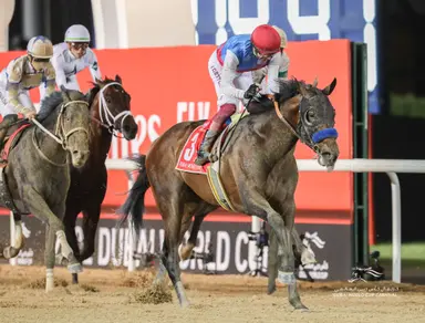 Country Grammer retired, will stand at WinStar Farm