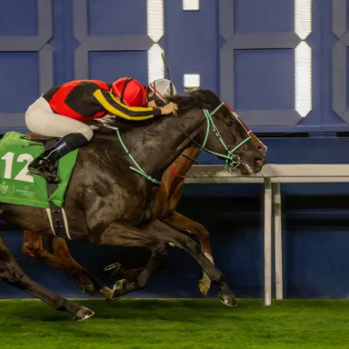 Japan: Ascoli Piceno stretches back out for Victoria Mile