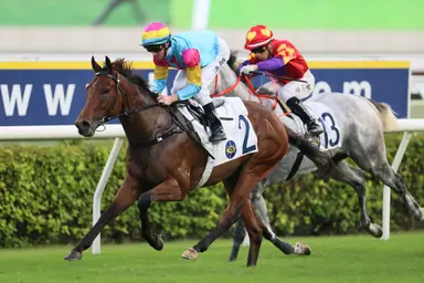 Taj Dragon rises chasing a Happy Valley first