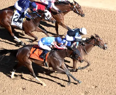 Search Party up late between horses to take Martha Washington by a neck
