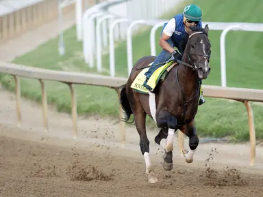 2025 Kentucky Derby Clocker: Sovereignty impresses in first local drill