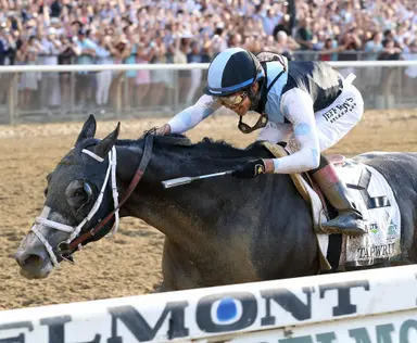 Midwest Stallions: Belmont winner Tapwrit joins Indiana ranks