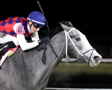 Great White giving trainer John Ennis renewed Kentucky Derby dreams