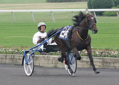 Harness: Muscle Hill retired from stallion duty