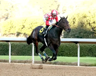 Standoutsensation, Runamileinmyshoes to vie for lead in Dig A Diamond