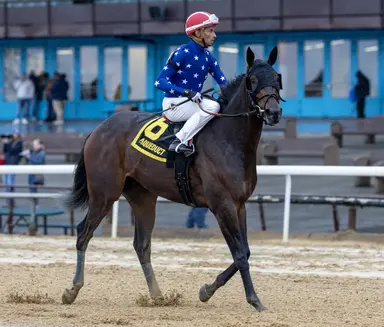 Atras greenlights Pashmina for Kentucky Oaks