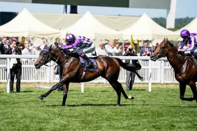 Shaquille tries to snag another Group 1 in July Cup