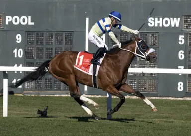 Weekend GamePlan: Picks for Dinner Party, Jim McKay Turf Sprint, Mizdirection