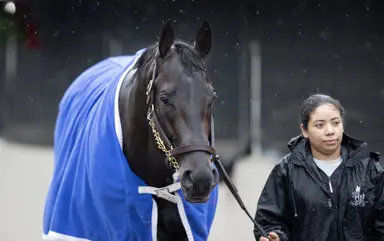 Preakness: Chip Honcho playing to smaller crowd might pay off