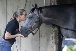 Fasig-Tipton yearling sale: Arcangelo, Up to the Mark first crops hit auction block for Lane's End